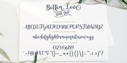 Botton Love Duo Font Poster 6